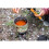 Jetboil Jetboil MiniMo Camping and Backpacking Stove Cooking System with Adjustable Heat Control (Camo) 2