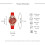 Diamond-Set Openwork Goldfish Dial Women's Leather Quartz Wristwatch 3