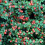 Cotoneaster CORAL BEAUTY. Evergreen. 3