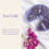 Lansinoh Therapearl 3-in-1 Hot & Cold Breast Therapy 4