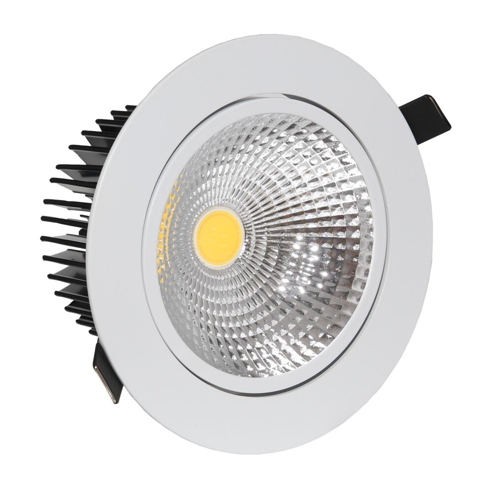 LED COB Spot Down Light with Transformer