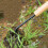 Handle Weeding Garden Weeding Tool Single Claw Hook (Black) 5
