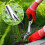 Upgraded Garden Hand Weeder Weeding Tool 5
