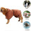 Dog Bathrobe Towel with Adjustable Straps (Brown, L, Back Length 23.6") 5