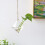 Glass Vase Container Flower Plant Hanging Vase Decor - Type 3 5