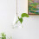 Glass Vase Container Flower Plant Hanging Vase Decor - Type 3 3