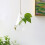 Glass Vase Container Flower Plant Hanging Vase Decor - Type 3 4