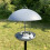 Selections Pole Mounted Metal Bird Seed Feeder Table with Dome Roof 2