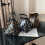 Ins leopard triangle bag hand bag women's Single Shoulder Messenger Mini Bag 3