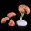 4d Disassembled Anatomical Human Brain Model 3