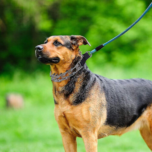 Dog Training Choke Collar, Adjustable Stainless Steel Slip Collars 2
