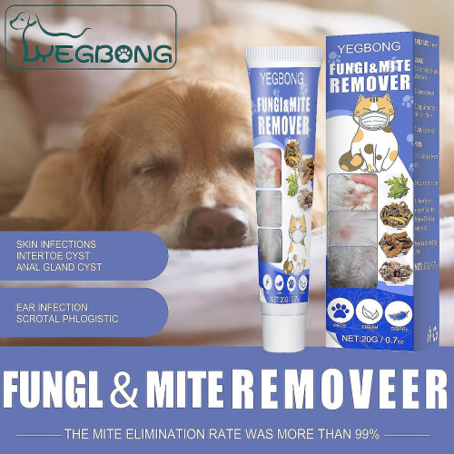 Removal Cream Mite Skin Ringworm Fungus Relief Itching Externala 1