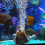 Aquarium Volcano Ornament Air Bubble Stone Fish Tank Decorations 3