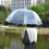 Clear Large Dome See Through Umbrella Lightweight And Strong PVC Construction 2