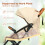Casart Protable Lightweight Baby Stroller One-Hand Folding Compact Stroller 5