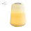 (Warm White) 1W USB Night Light Bedside Lantern Plastic 60LM Two Modes Camping Lamp Table Desk LED 1