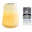 (Warm White) 1W USB Night Light Bedside Lantern Plastic 60LM Two Modes Camping Lamp Table Desk LED 2