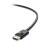 Câble DisplayPort vers VGA 2X (câble DP vers VGA) 6 pieds 4
