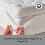 Sealy (Single) Sealy Deeply Full Topper 6