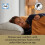 Sealy Sealy Dual Comfort Memory Foam Pillow - 2 Pack 3