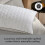 Sealy Sealy Deeply Full Pillow - 2 Pack 4