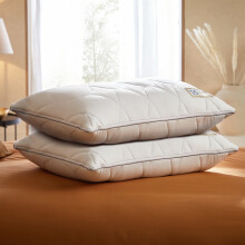 Sealy Dual Comfort Memory Foam Pillow - 2 Pack (100206001): Soft Hollowfibre + Firm Foam, Breathable Cotton Cover