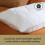 Sealy Sealy Dual Comfort Memory Foam Pillow - 2 Pack 7