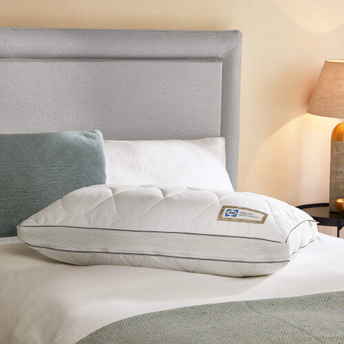 Sealy Sealy Airflow Memory Foam Pillow