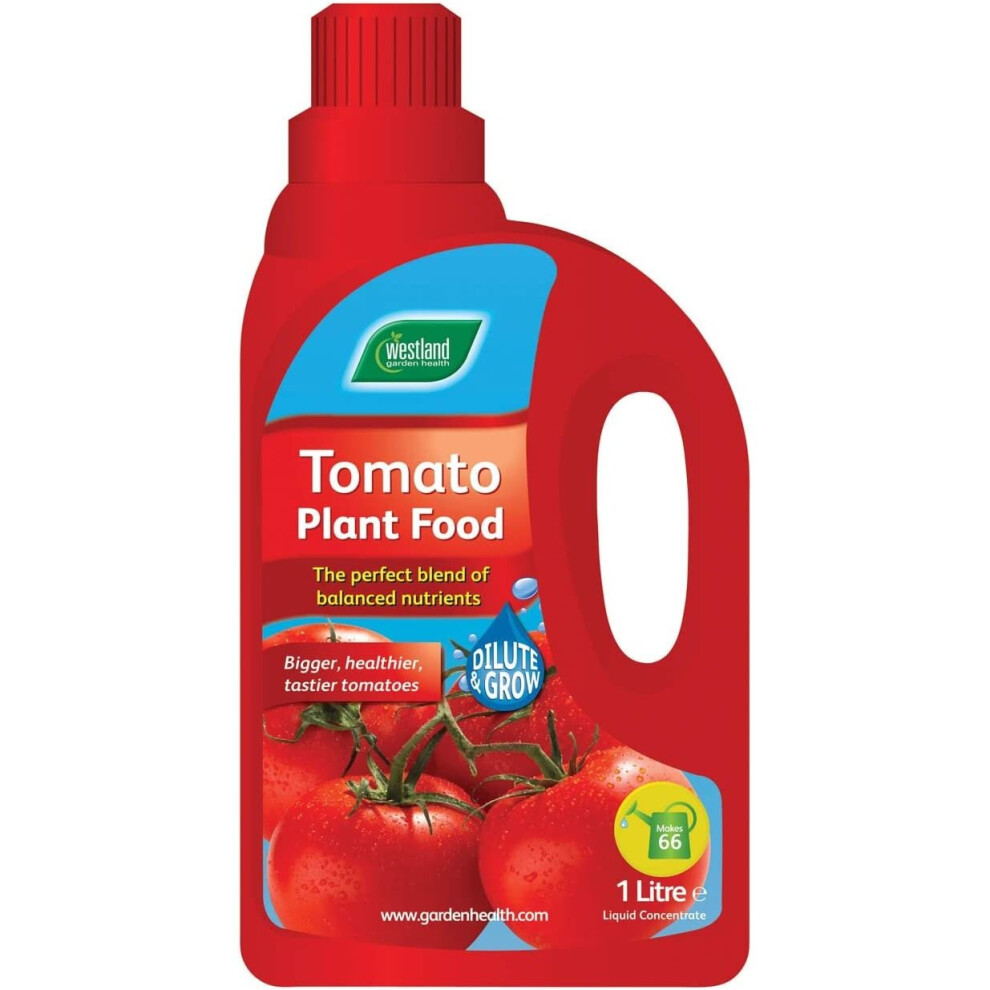 Westland Tomato Concentrated Plant Food 1 Litre