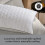 Sealy Sealy Deeply Full Pillow Luxury Du Pont Fibres 3