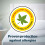 Silentnight Silentnight Anti Allergy Pillow - 4 Pack 4
