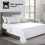 Imperial Rooms (Double (225 x 275 cm), White) 100% Egyptian Cotton Flat Sheet Bed Sheets UK 2