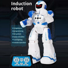Kids Funny RC Smart Robot Toy Remote Control Interactive Dancing Singing Walking