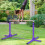 Casart Kids Junior Horizontal Kips Bar Gymnastics Training Bar Gym 5