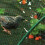DIVCHI Garden Netting Kit 4M x 5M Woven Mesh Reusable Bird Netting 3