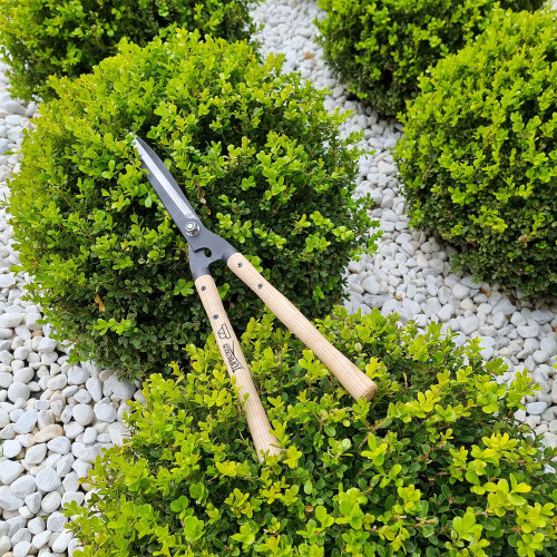 TOPBUXUS Professional Topiary Shears 1