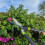 Set Of 3 Garden Tools Lopper Shears Secateurs 4