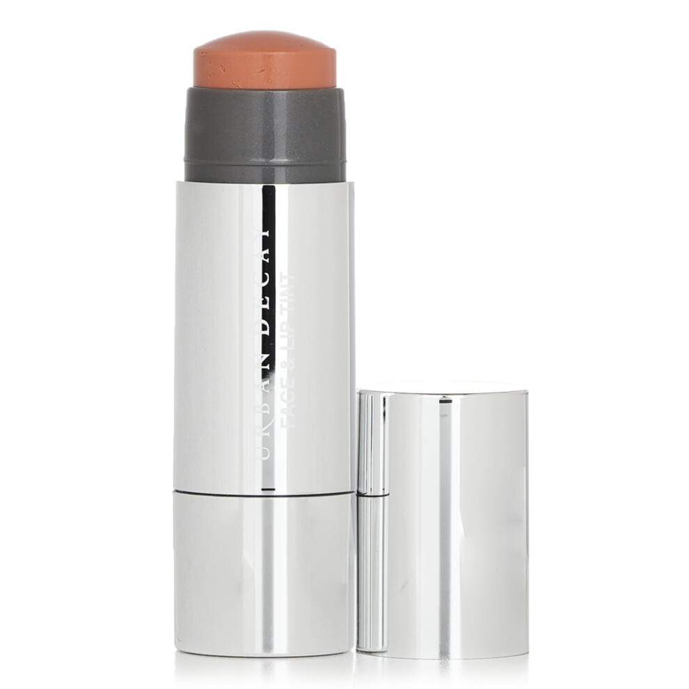 Urban Decay Stay Naked Face & Lip Tint - # Kinky (Light Dusty Nude) 259929 4g/0.14oz