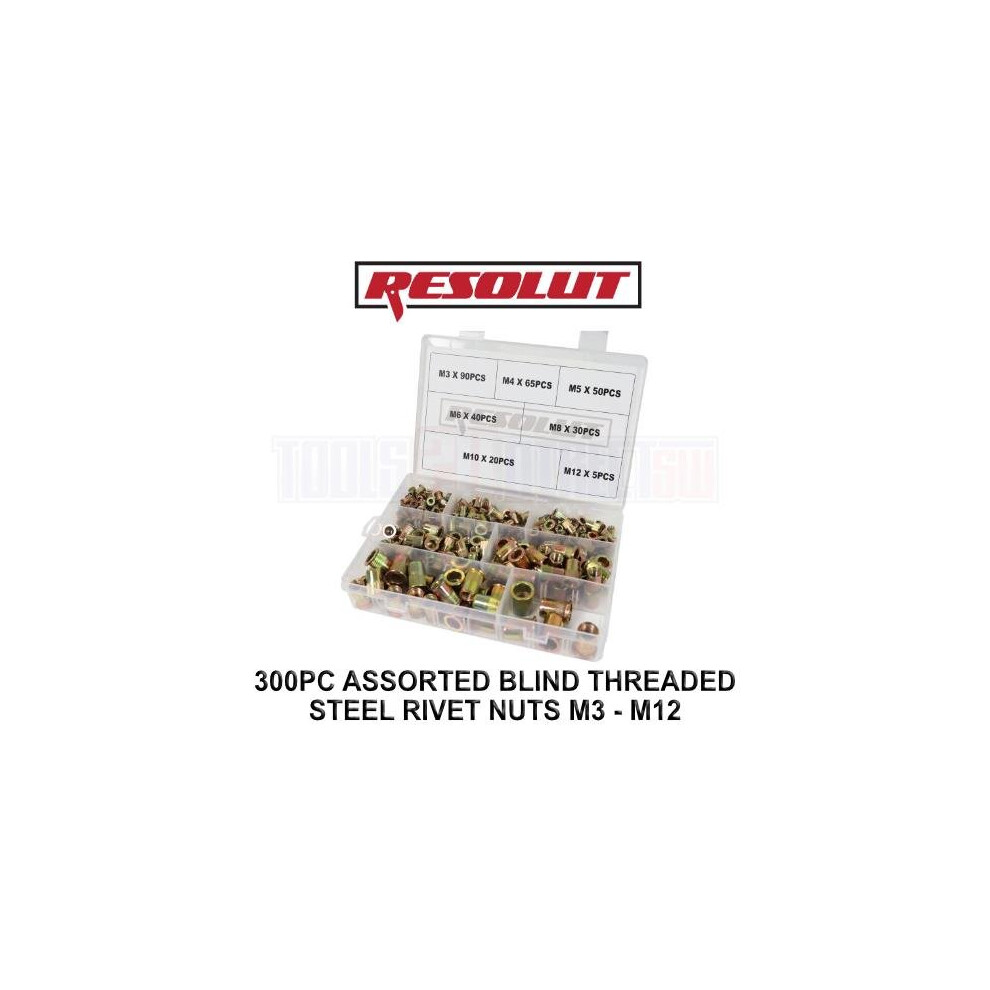 Resolut 300Pc Assorted Blind Threaded Steel Rivet Nuts M3 - M12 9200 5060848159044