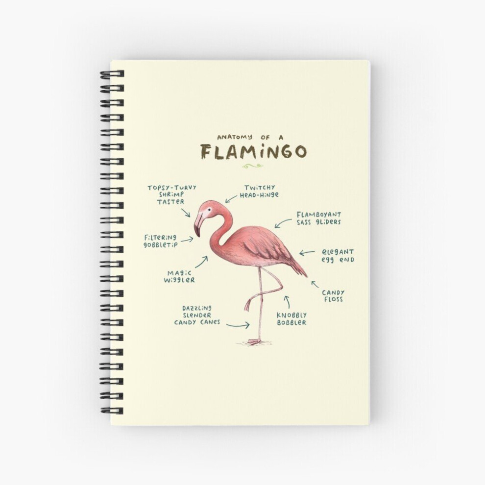 Spiral Notebook Anatomy of a Flamingo A5 120 Pages-image-OPC-PBVTW9C-NEW