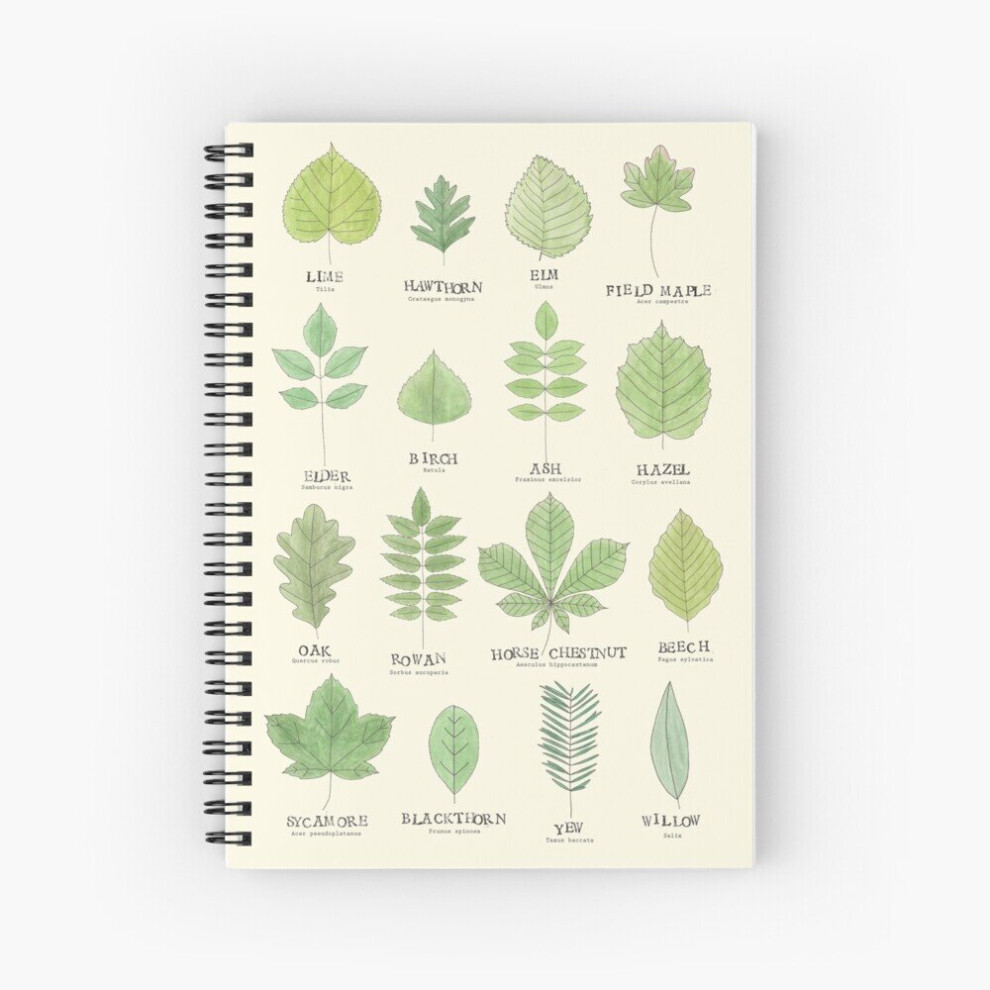 Spiral Notebook Leaf ID Chart A5 120 Pages-image-OPC-PBVVDH9-NEW