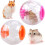 Hamster Ball Transparent Cute Hamster Ball Hamster Exercise Ball 2