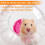 Hamster Ball Transparent Cute Hamster Ball Hamster Exercise Ball 5