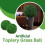 AAMEN Green Boxwood Ball Artificial Leaf Topiary Ball, Artificial Grass Ball 5