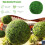 AAMEN Green Boxwood Ball Artificial Leaf Topiary Ball, Artificial Grass Ball 7