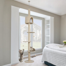Floor to Ceiling Cat Tree Tower Climbing Activity Center w/Condo Beige