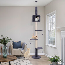 Floor to Ceiling Cat Tree Tower Climbing Activity Center w/Condo Blue