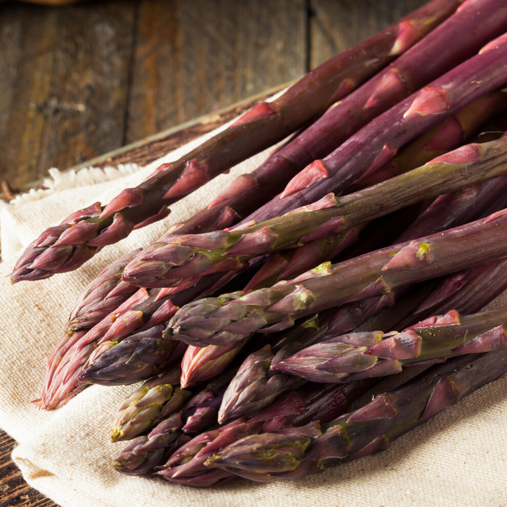 Gardeners Dream (10 Crowns) Asparagus Pacific Crowns Bare Root Perennial Outdoor Salad Vegetable Purple