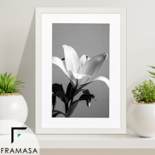 (White Frame White Mount, A2 Pic (A1 Frame)) White Photo Frames With Mounts Flat Wooden Effect Picture Frame With Multicolored Mounts White Ivory or Black