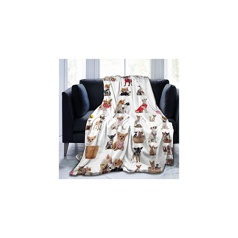 COMRTL Flannel Fleece Throw Blanket Bed Blanket Cute Chihuahua Pug Pattern Micro Fleece Blanket Warm Soft Lightweight Cozy Microfiber Blanket Throw